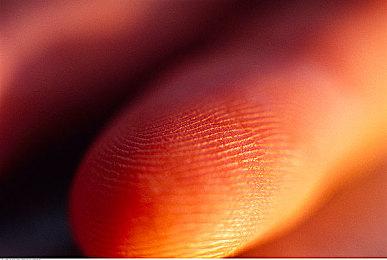 《双截龙》被绑女友锻炼身体后加盟《热血少女2》